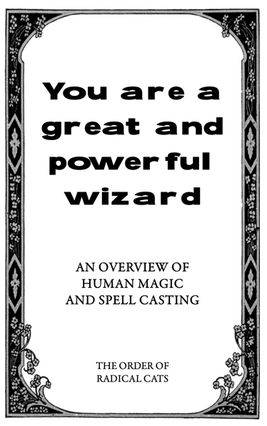 You are a great and powerful wizard cover